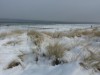 Bild 42