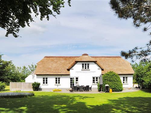 Sommerhus - 22 personer -  - Toldhusvej - Stauning - 6900 - Skjern