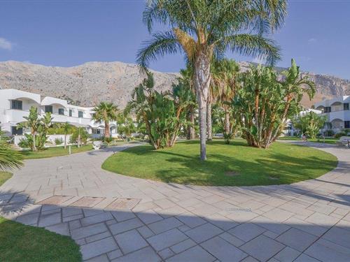 Ferielejlighed - 4 personer -  - Via della Libertà - 90040 - Isola Delle Femmine