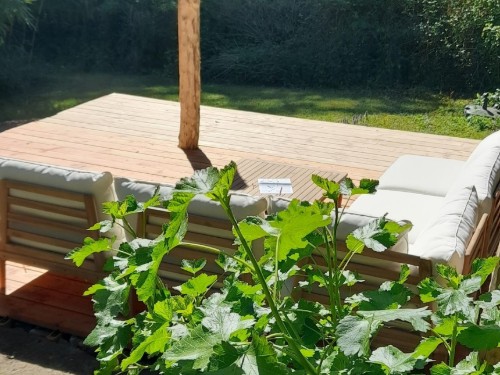 Ferienwohnung - 4 Personen -  - Stettbacher Tal - 64342 - Seeheim-Jugenheim