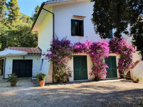 Holiday Home/Apartment - 6 persons -  - Località i Forni, snc I Forni - 57036 - Porto Azzurro