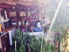 Billede 15