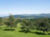 Bilde 3 - Ude