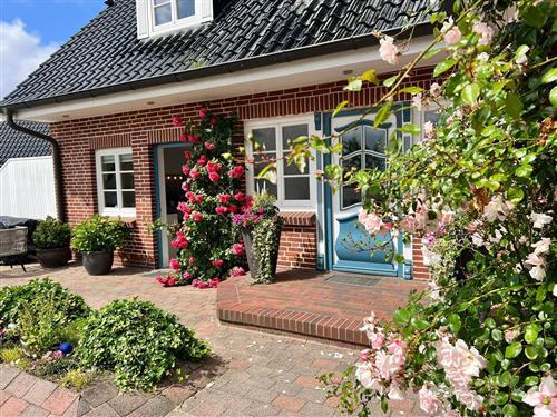 Ferieleilighet - 2 personer -  - Osewoldterkoog - 25899 - Dagebüll