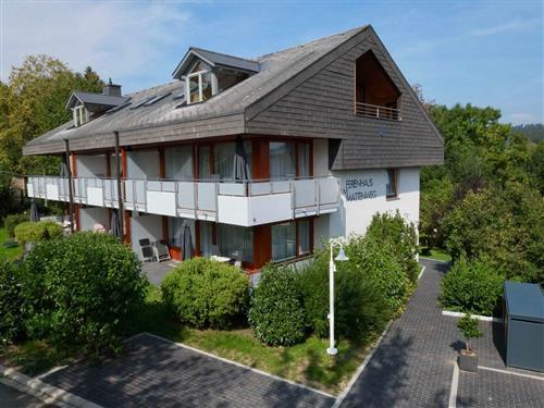 Holiday Home/Apartment - 4 persons -  - Mattenweg - 79856 - Hinterzarten