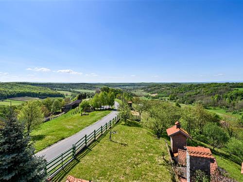 Holiday home - 8 persons -  - Ribnjacka - Bjelovar - Ribnjacka - 43273 - Ribnjacka