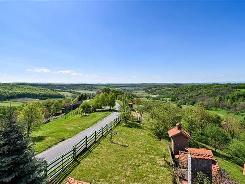 Holiday home - 8 persons -  - Ribnjacka - Bjelovar - Ribnjacka - 43273 - Ribnjacka