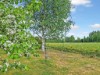 Bilde 23 - Inne
