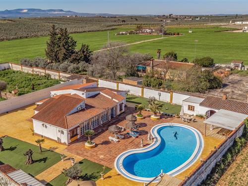 Sommerhus - 12 personer -  - ctra. los Arenales - 14500 - Puente Genil