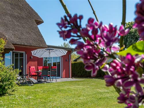 Feriehus - 4 personer -  - Jagdhaus - 18375 - Wieck