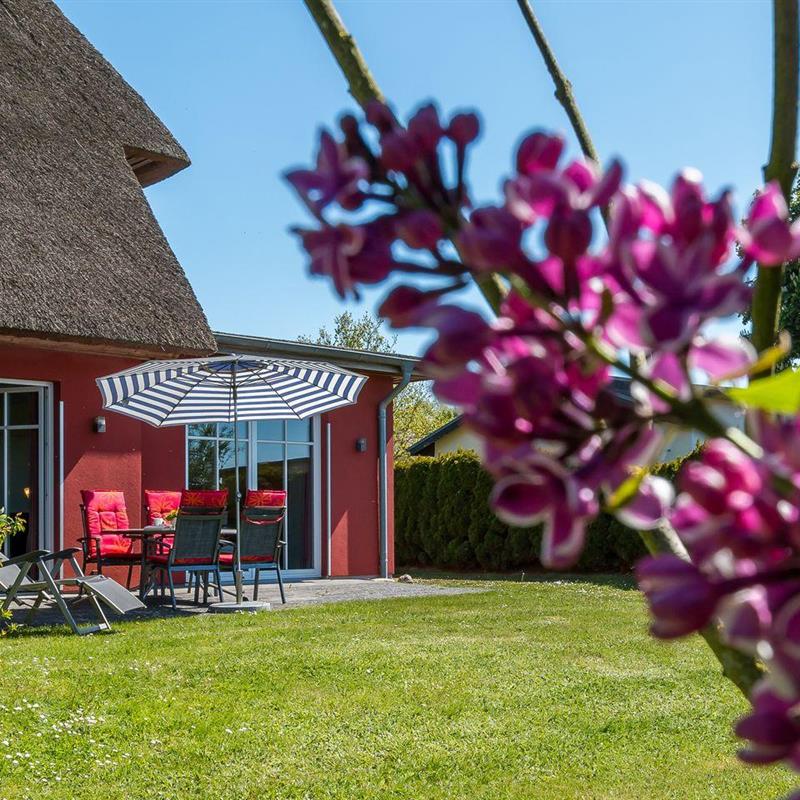 Sommerhus - 4 personer -  - Jagdhaus - 18375 - Wieck