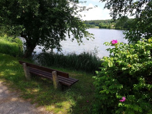 Ferienwohnung - 2 Personen -  - Lange Straße - 38899 - Stiege