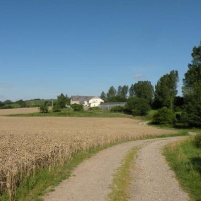 Billede 2