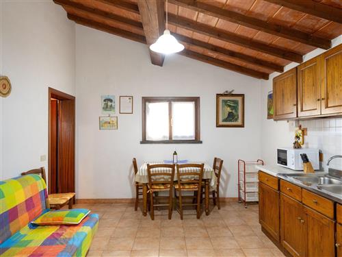 Ferienwohnung - 4 Personen -  - Cecina - 57023