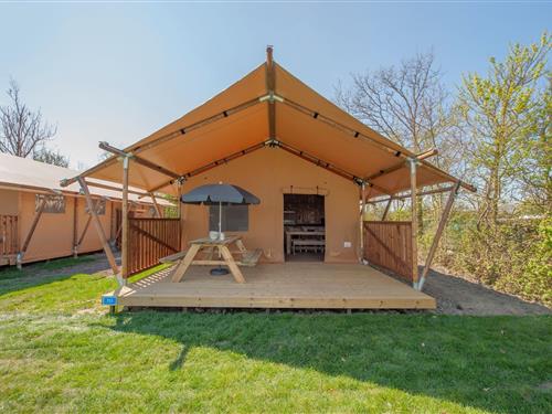 Glamping telt - 6 personer -  - 4904SG - Oosterhout