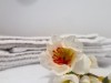Billede 48 - Inde