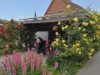 Bild 19