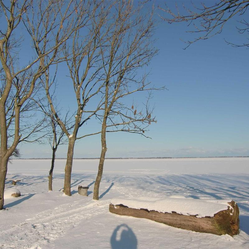 Ferielejlighed - 3 personer -  - Hof Gronow - 18519 - Sundhagen