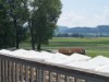 Bild 6 - Aussen