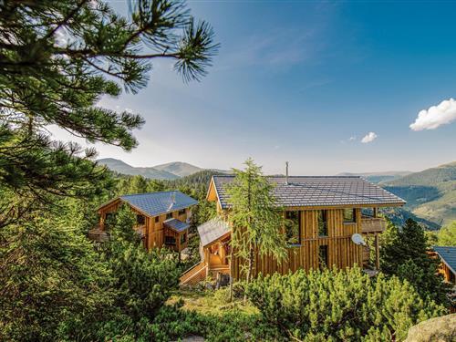 Ferienhaus - 11 Personen -  - Alpenpark Turrach - Turracher Höhe - 8864 - Turrach