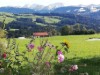 Bild 23
