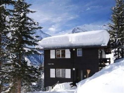 Ferieleilighet - 4 personer -  - Lauterbrunnen - 3825