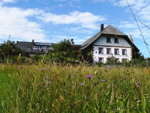 Holiday home - 6 persons -  - 79215 - Elzach, Heidburg
