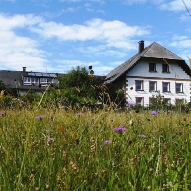 Sommerhus - 6 personer -  - 79215 - Elzach, Heidburg