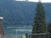 Bild 42