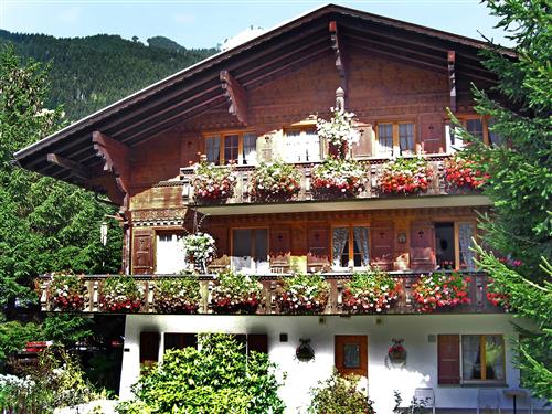 Ferienhaus - 3 Personen -  - Grindelwald - 3818