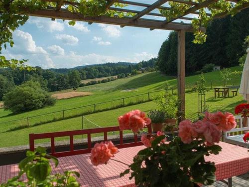 Holiday home - 2 persons -  - 4865 - Nussdorf