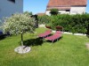 Bilde 7