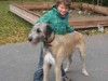 Bild 21