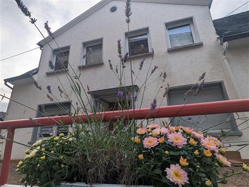 Holiday Home/Apartment - 6 persons -  - Mühlenbachstr. - 56814 - Bruttig-Fankel