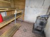 Bilde 11 - Inne