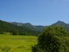 Bilde 3