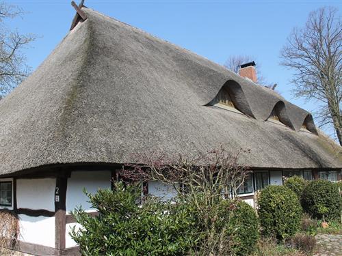 Ferieleilighet - 4 personer -  - 18209 - Reddelich