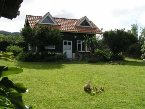 Sommerhus - 4 personer -  - 9555-103 - Ginetes, Sao Miguel