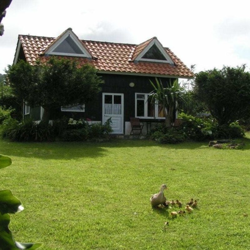 Sommerhus - 4 personer -  - 9555-103 - Ginetes, Sao Miguel