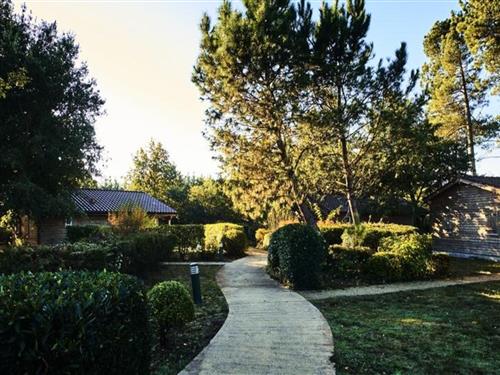 Ferieleilighet - 4 personer -  - 40160 - Parentis En Born