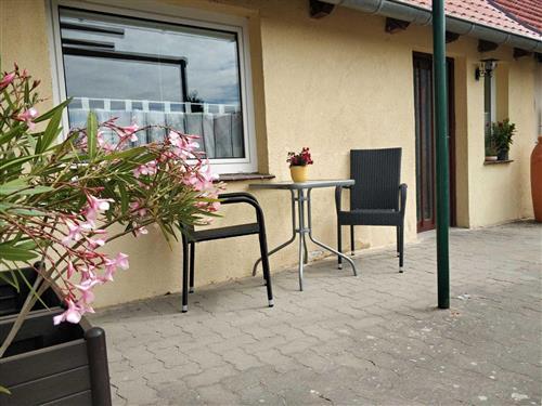 Holiday Home/Apartment - 4 persons -  - Neue Straße - 18569 - Ummanz