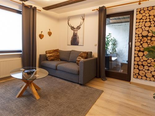 Ferieleilighet - 4 personer -  - Herzog Wilhelm Straße - 38667 - Bad Harzburg