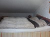 Bild 24