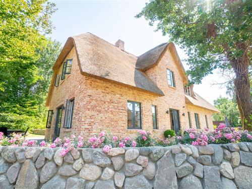 Feriehus - 5 personer -  - Nieblumweg - 25938 - Alkersum