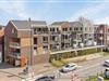 Bild 19