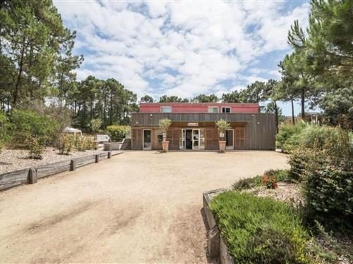 Ferielejlighed - 4 personer -  - 33121 - Carcans-Maubuisson