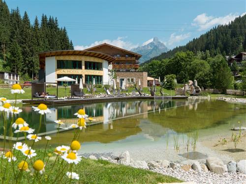 Semesterlägenhet - 2 personer -  - Neuberger Straße - 5532 - Filzmoos