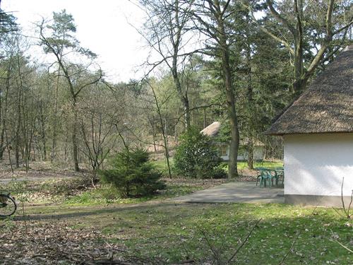 Feriehus - 4 personer -  - 5373KL - Herpen