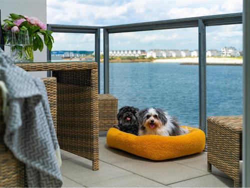 Ferielejlighed - 4 personer -  - Auf der Ostsee - Bolliwerk10, Ostseeresort Olpenitz - 24376 - Olpenitz