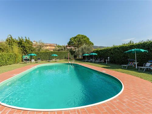 Ferieleilighet - 5 personer -  - 06069 - Tuoro Sul Trasimeno